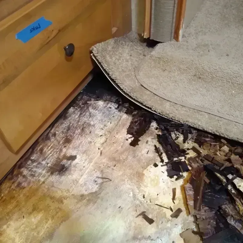 Wood Floor Water Damage in Kadoka, SD